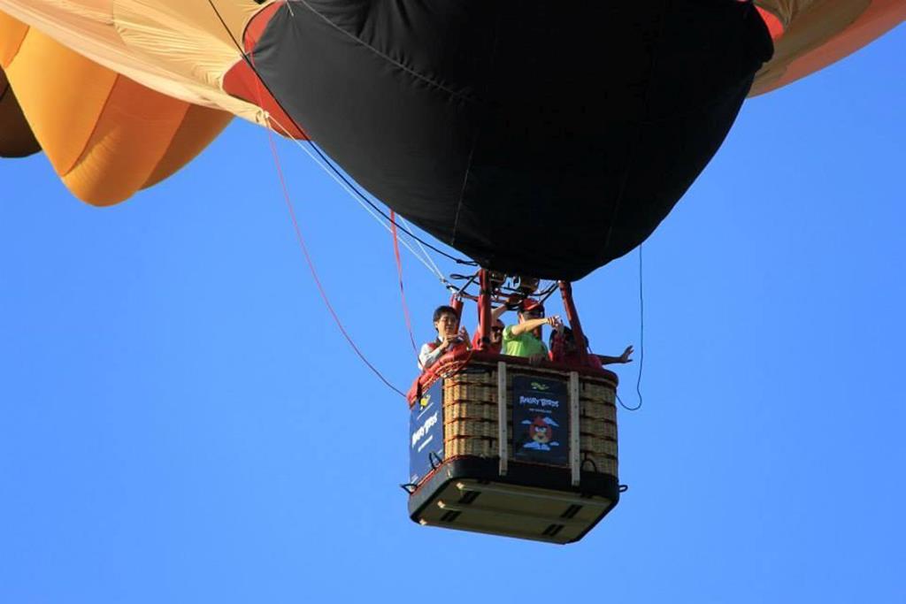 台東熱氣球自由飛空中遊覽