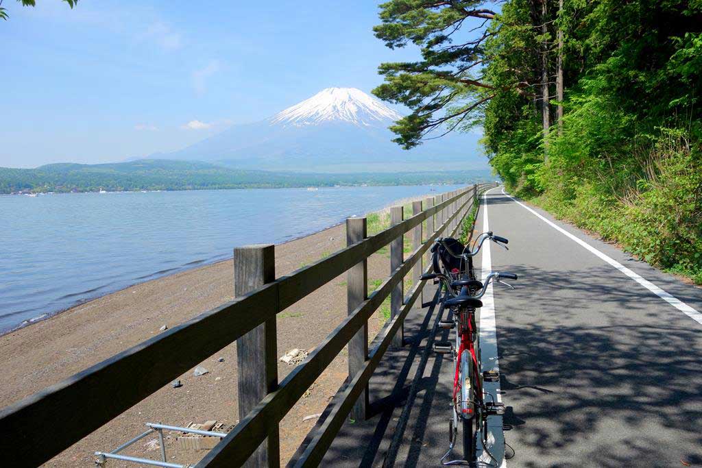 山中湖 腳踏車 自行車