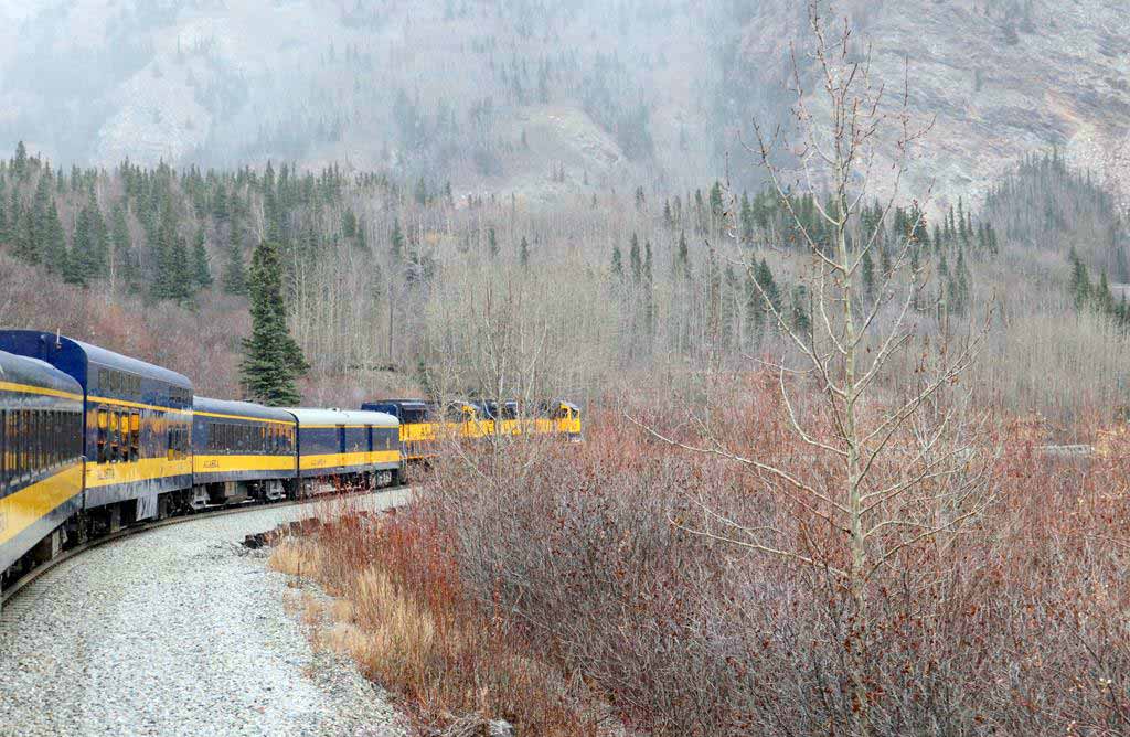 Alaska Railroad Aurora Winter Train