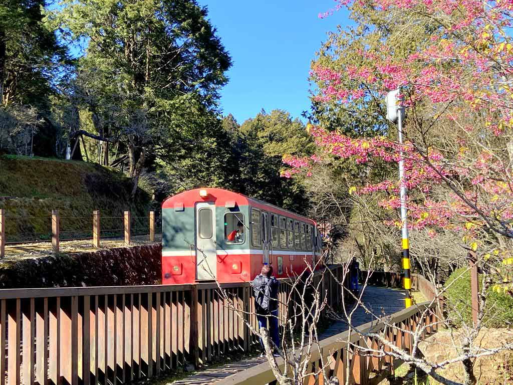 櫻花鐵道